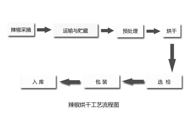 辣椒烘干加工工艺流程