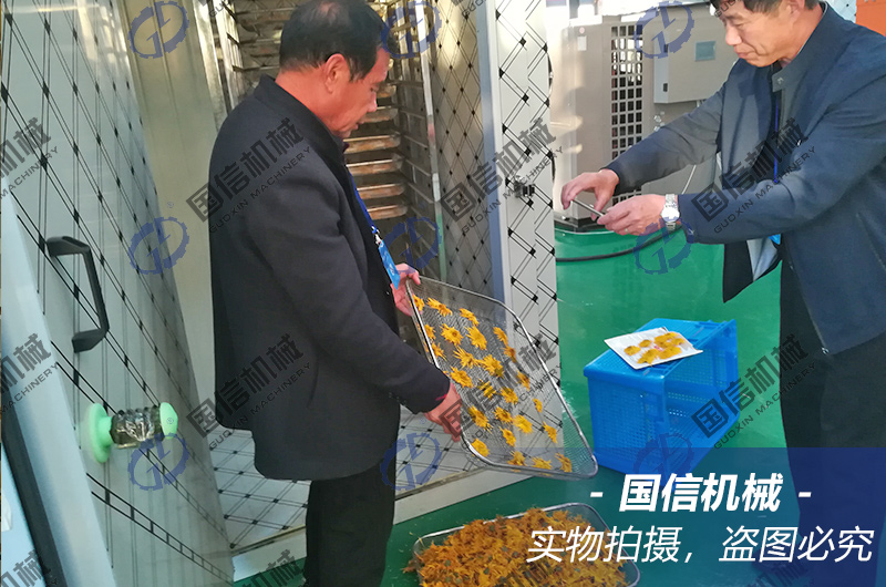 金丝皇菊烘干房