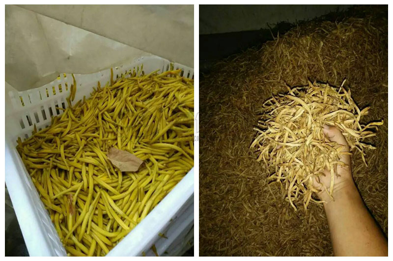 小型黄花菜烘干机烘干黄花菜的成品照片