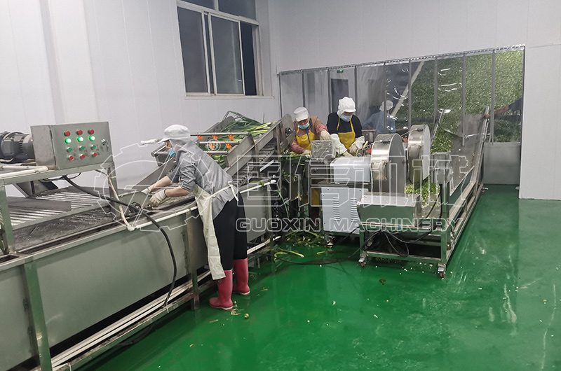 蔬菜脱水生产线
