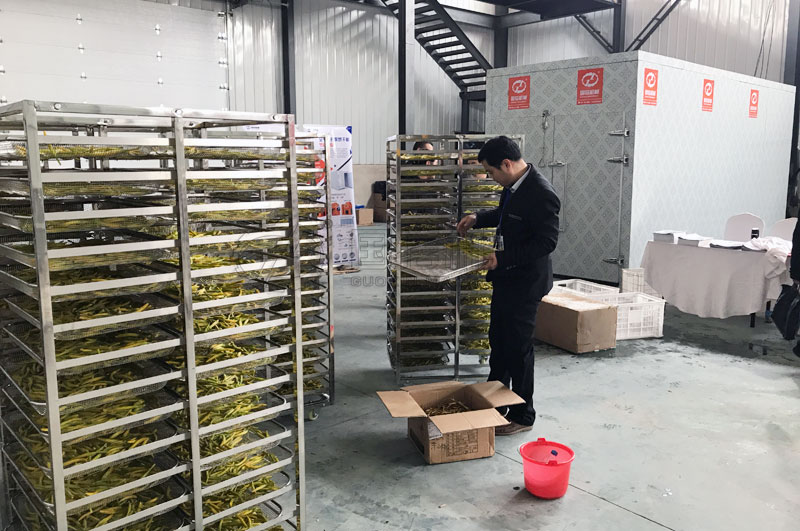 箱式黄花菜烘干设备