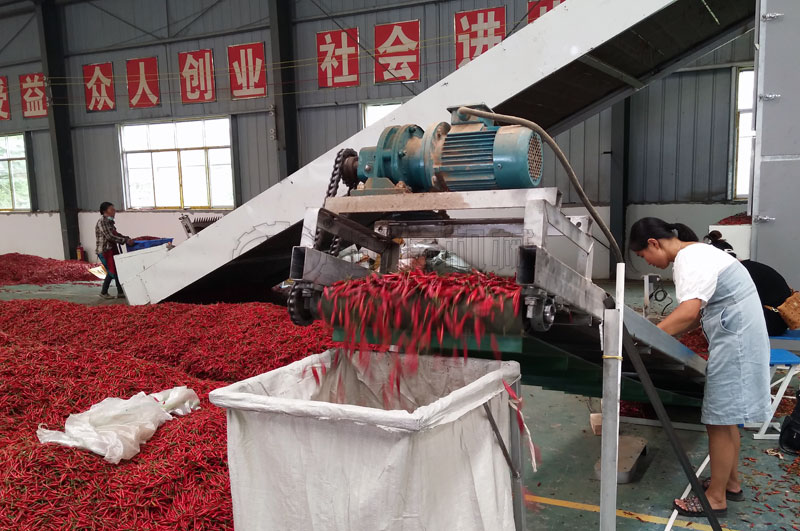 网带式辣椒烘干机可连续的烘干辣椒