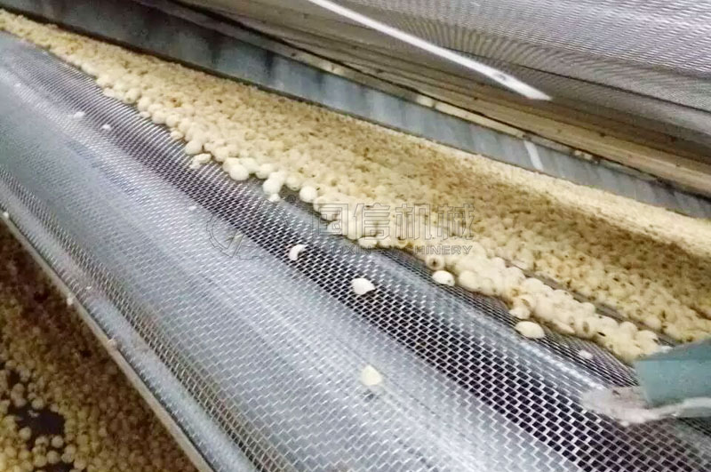 网带式烘干机烘干通芯白莲子