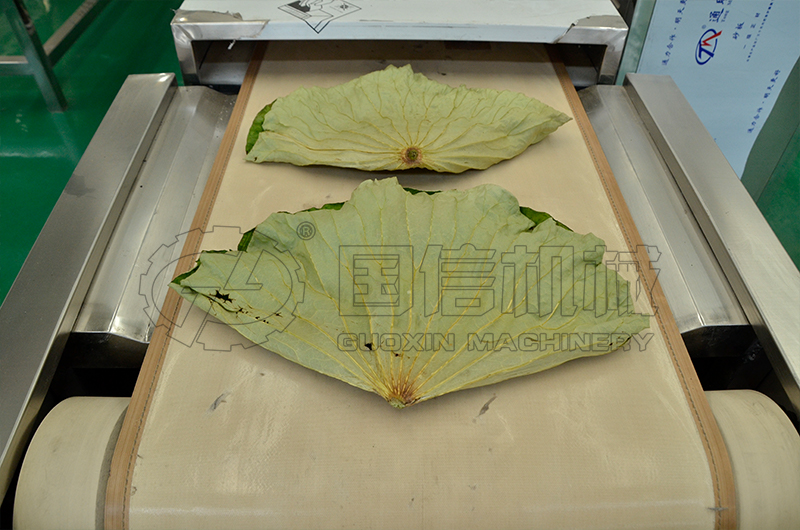 微波荷叶干燥
